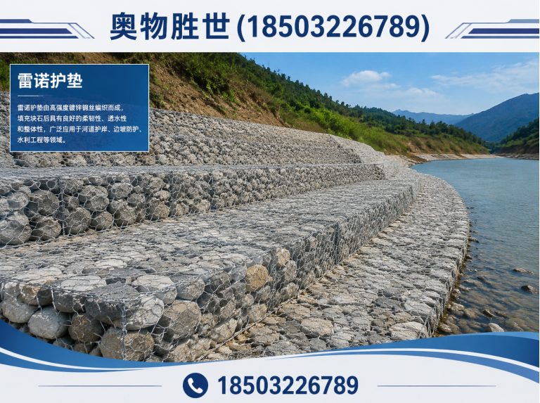 阿拉善格宾网展示图